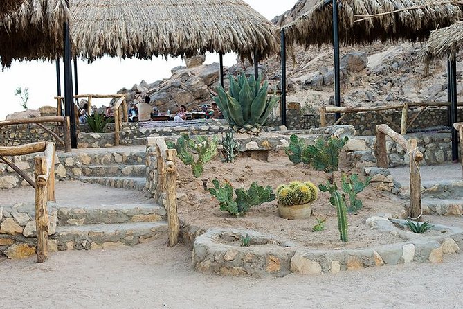 Super Safari, ATV & Sunset, Camel Ride With Dinner - Marsa Alam - Sunset Dinner: Barbecue Under Open Sky