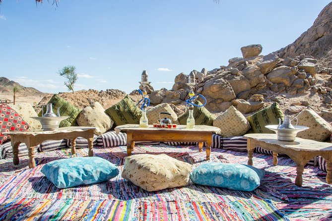 Super Safari, ATV & Sunset, Camel Ride With Dinner - Marsa Alam - Group Size, Timing, and How the Evening Flows