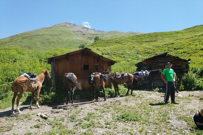 Svaneti Mountain Villages 4x4 Safari, tour from Kutaisi - Museum stop and the tower-house idea: useful extras, not mandatory