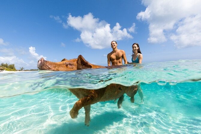Swim with the Pigs Safari in Bahamas (2hrs) - Atlantis Bahamas tunnels: fast, scenic, and boat-only