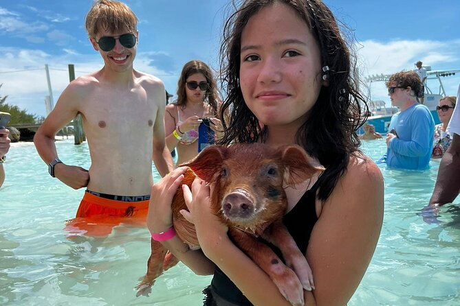 Swim with the Pigs Safari in Bahamas (2hrs) - Timing that works for cruise passengers (and anyone with only two hours)