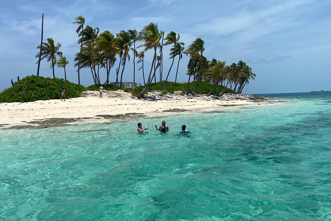 Swim with the Pigs Safari in Bahamas (2hrs) - Price and value: is $175 really worth it here?