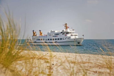 Sylt: Shell safari with boat | incl. Mussel tasting & 1 glass of wine - What you actually get to eat: Sylt mussels and wine