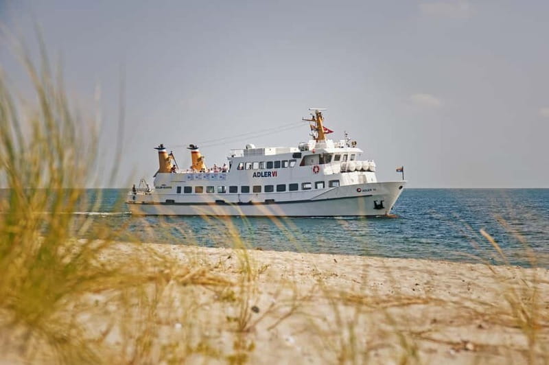 Sylt: Shell safari with boat | incl. Mussel tasting & 1 glass of wine - What you actually get to eat: Sylt mussels and wine