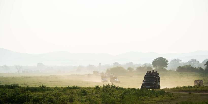 Tangalle/Hiriketiya/Galle: Shuttle to Ella with Yala Safari - Door-to-Door Pickup: The Value You Feel Immediately