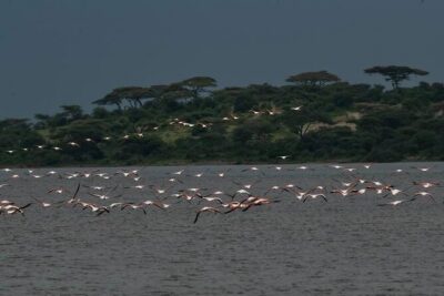 Tanzania Luxury Safari - The safari vehicle: what “luxury” looks like here