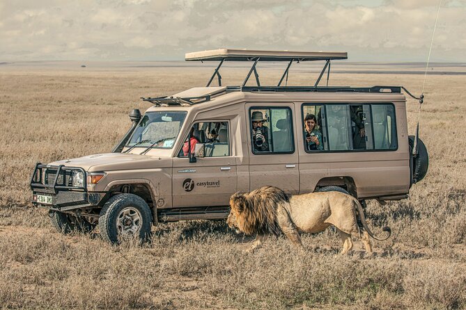 Tanzania Simba Safari - 5 Days - Serengeti Day One: Afternoon Drive and the Feeling of Scale