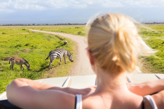 Tanzania Simba Safari - 5 Days - Ngorongoro Crater Day: Early Drive and the Signature View
