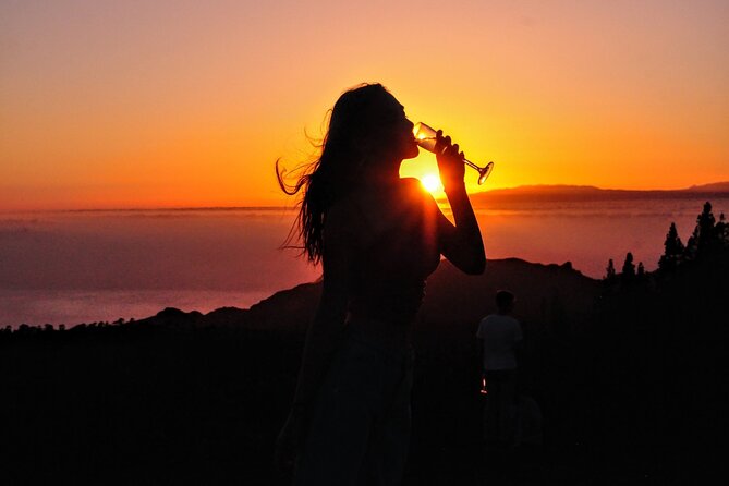 Teide National Park Sunset & Stargazing with Dinner (Star Safari) - Key Things That Make This Star Safari Work