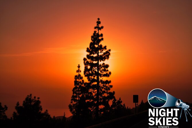 Teide National Park Sunset & Stargazing with Dinner (Star Safari) - Price and What You’re Paying For (Not Just the Ticket Cost)