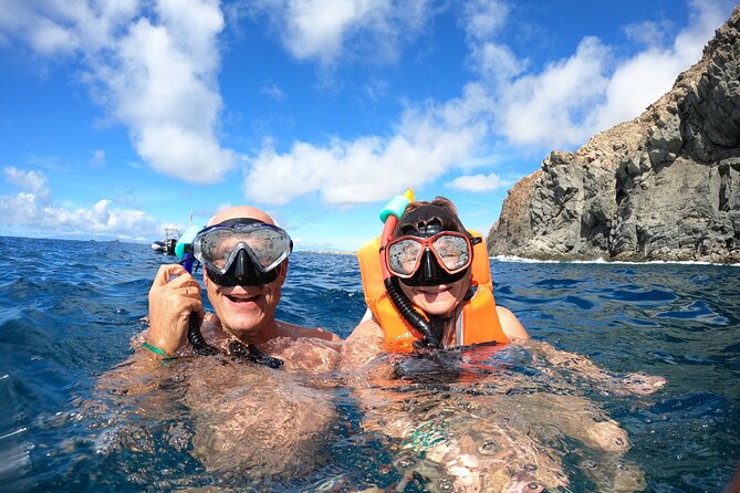 Tenerife: Kayak and snorkel with marine life safari - Paddle route and the Cave of Pal Mar: scenery plus real effort