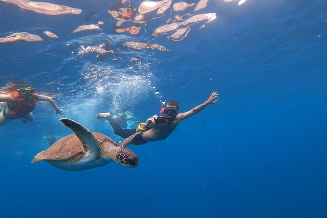 Tenerife: Kayak and snorkel with marine life safari - Small breaks, snacks, and staying comfortable on the water