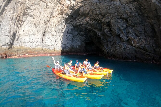 Tenerife: Kayak and snorkel with marine life safari - Wildlife safari reality check: how to treat dolphins and turtles as a bonus