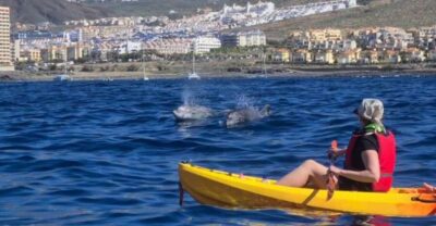 Tenerife: Kayak Safari and Sea Turtle Snorkeling with Photos - Meeting at Los Cristianos: Get Set Up Before You Hit the Water