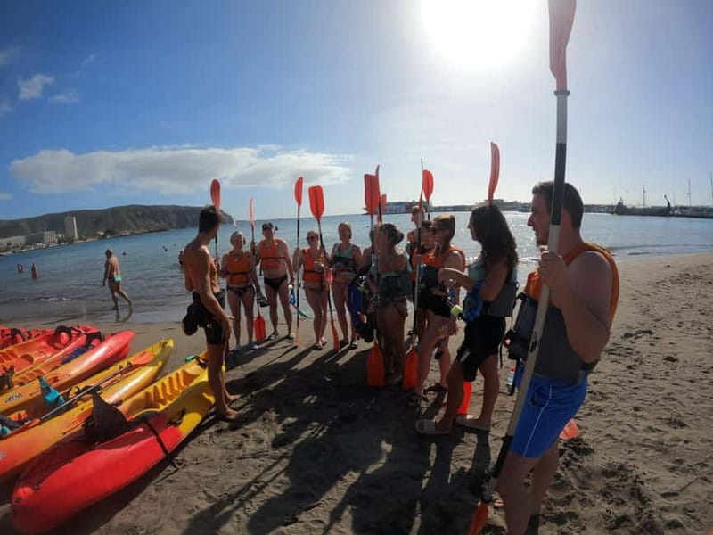 Tenerife: Kayak Sea Safari with Snorkel and Snacks - Wildlife odds: dolphins, turtles, and the respectful-distance rule