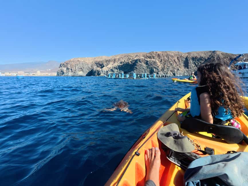 Tenerife: Kayak Sea Safari with Snorkel and Snacks - How hard is this trip: fitness, waves, and sea-sickness reality