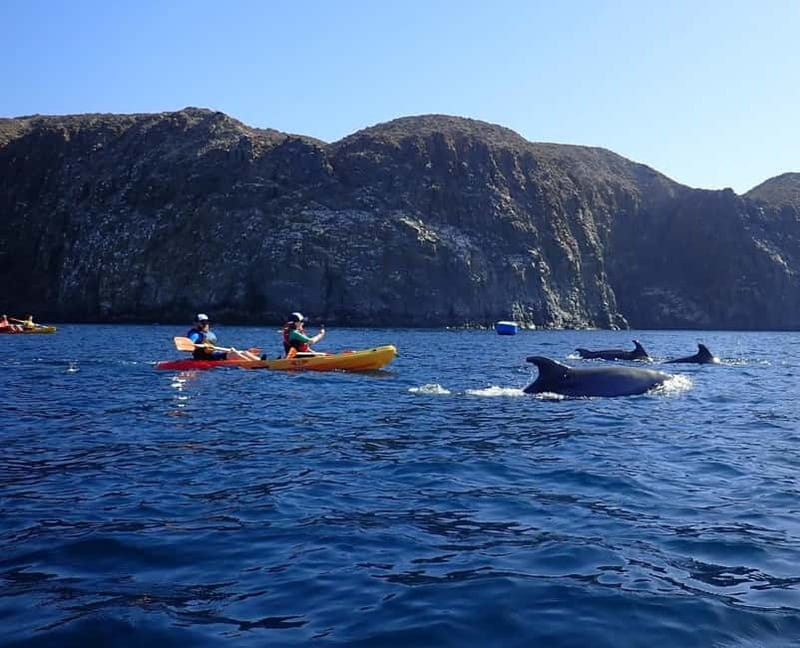 Tenerife: Kayak & Snorkel Tour with Snacks & Sea Life Safari - Gear Up: Wet Suit, Life Jacket, and Snorkel Mask