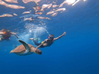 Tenerife: Kayak & Snorkel Tour with Snacks & Sea Life Safari - Meeting at MANA KAYAK by Reveron Plaza Hotel