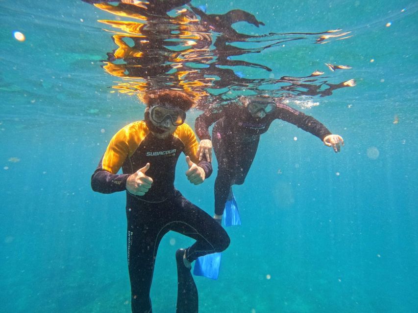 Tenerife: Puerto Colon Snorkel Safari by Speed Boat - Key things to know before you go