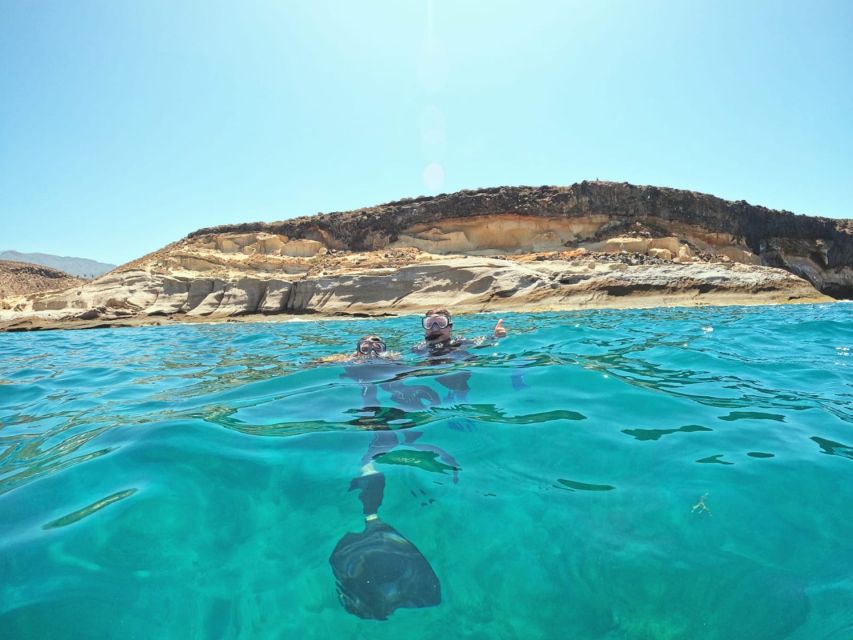 Tenerife: Puerto Colon Snorkel Safari by Speed Boat - Speedboat snorkel logistics: where you meet in Puerto Colón