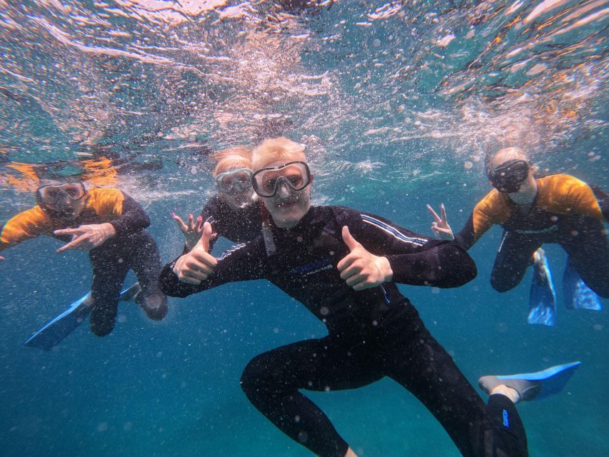 Tenerife: Puerto Colon Snorkel Safari by Speed Boat - The 15-minute speedboat ride: views and a faster path to the bay