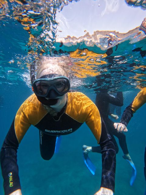 Tenerife: Puerto Colon Snorkel Safari by Speed Boat - What’s included in the ticket (and what you’ll pay extra)