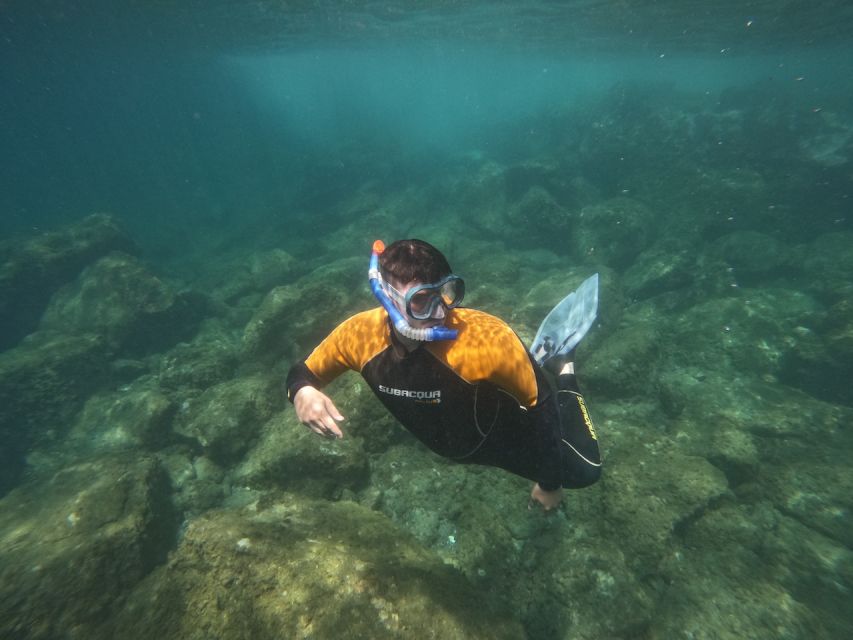 Tenerife: Puerto Colon Snorkel Safari by Speed Boat - Fitting on wetsuit, mask, fins: the 30-minute safety start