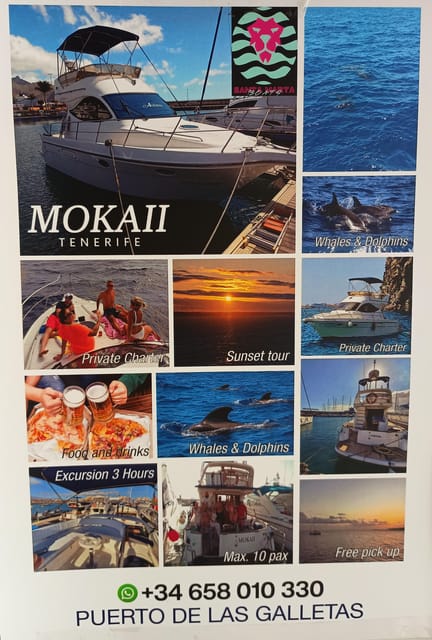 Tenerife south: safari with luxury boat , animals encounters - Key highlights worth planning around
