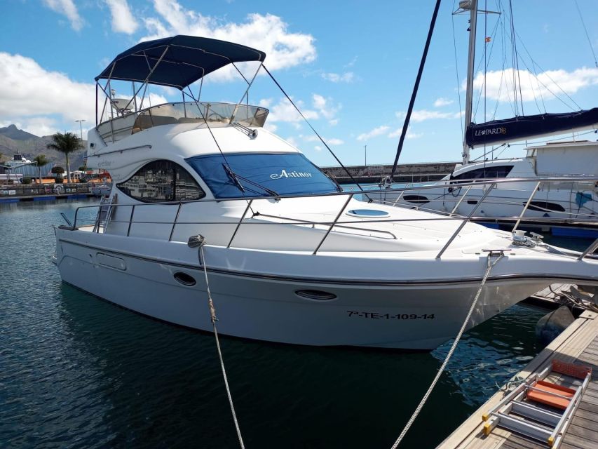 Tenerife south: safari with luxury boat , animals encounters - The luxury boat setup: two levels, bathroom, and a crew that runs it tight