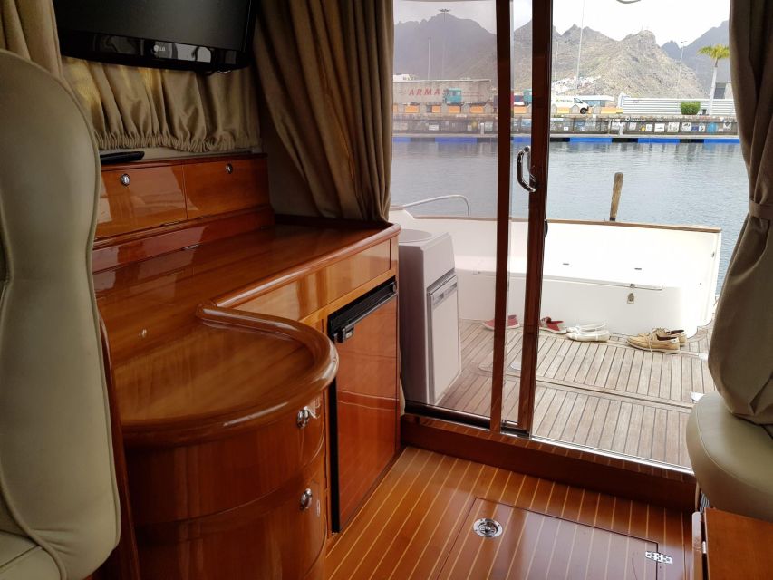 Tenerife south: safari with luxury boat , animals encounters - The halfway swim stop in an exclusive bay (and what it costs you in time)
