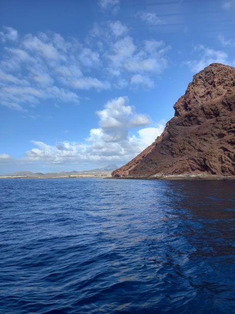 Tenerife south: safari with luxury boat , animals encounters - Food and drinks aboard: small inclusions that change the vibe
