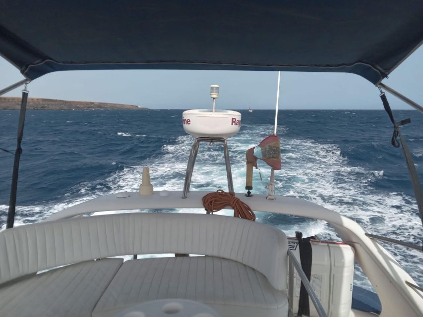 Tenerife south: safari with luxury boat , animals encounters - Who this tour suits best (and who might feel rushed)