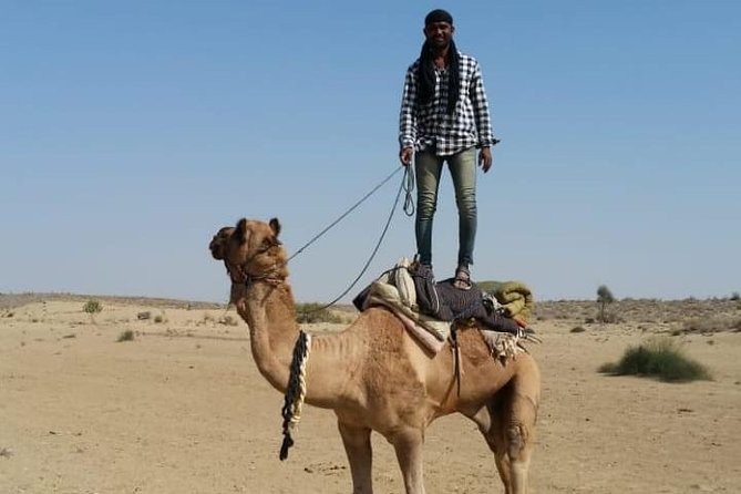 Thar Desert Camel Tour, Guide with over 25 years of experience! - Key Points I’d Plan Around