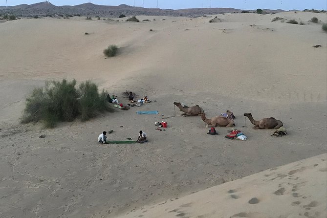 Thar Desert Camel Tour, Guide with over 25 years of experience! - Camel Safari From Jaisalmer: What Makes It Feel Like the Thar