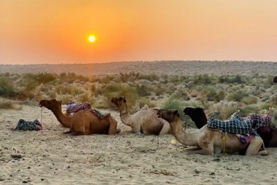 Thar Desert Camel Tour, Guide with over 25 years of experience! - Riding Out to the Dunes: The Pace, the Views, and the Comfort Reality