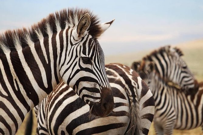 The best Selous 1 day safari from Zanzibar - Check-In and Briefing: Where the Day Gets Organized