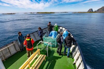 The Bird Safari Tour - The Ride Across the Arctic Island to Gjesvær (Why It’s Not Just Travel Time)