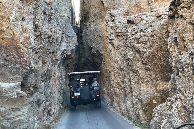 The Only Full Day - Jeep Bison Safari at Custer State Park - FUN! - Key Highlights You’ll Feel Right Away