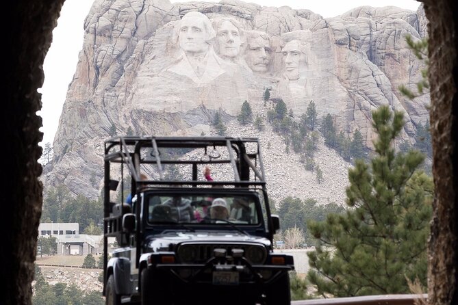 The Only Full Day - Jeep Bison Safari at Custer State Park - FUN! - Wildlife Loop Road: The 18-Mile Stretch Where Spotting Becomes Real