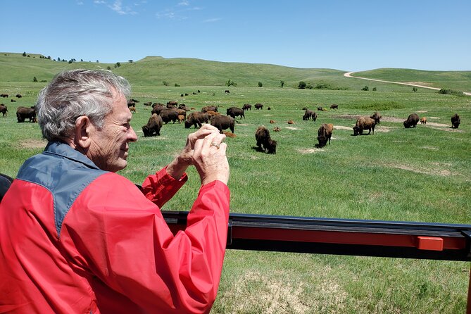 The Only Full Day - Jeep Bison Safari at Custer State Park - FUN! - Needles Highway and Needles Eye Tunnel: Granite Drama Without the Guesswork