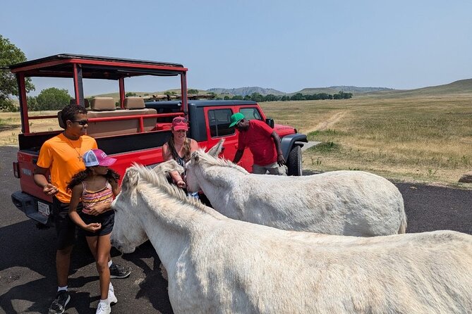 The Only Full Day - Jeep Bison Safari at Custer State Park - FUN! - Iron Mountain Road: The Curves, Tunnels, and Pigtail Bridges You’ll Remember