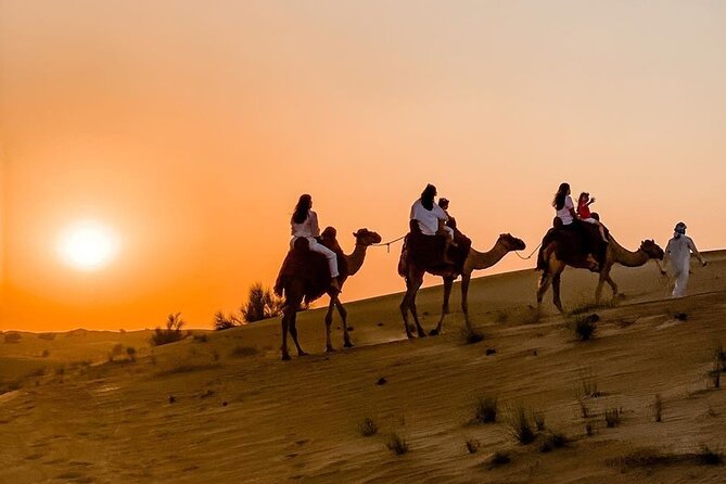 Thrilling 4-Hour Dune Bashing & Camel Ride Safari to Inland Sea - A 4-hour desert hit from Doha, without the logistics headache