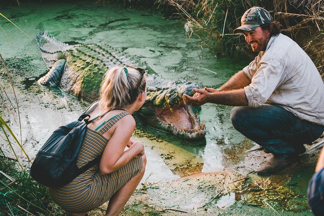 Top End Safari Camp Day Tour - Airboat on the Billabong Channels: The Croc-Spotting Moment