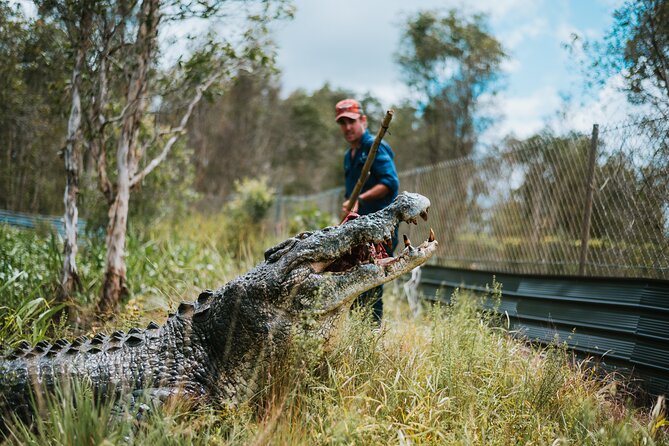Top End Safari Camp Day Tour - The 10-Minute Helicopter Flight: Quick, Scenic, and Worth It