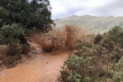 TopBuggy Buggy Safari Ronda Gorge Trip - Timing and Meeting Point: Don’t Cut It Close