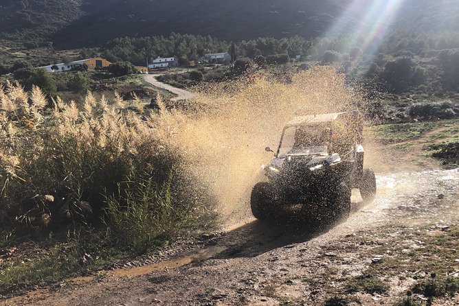 TopBuggy Buggy Safari Ronda Gorge Trip - The Route Starts Easy: Old Town Driving and City-Edge Views