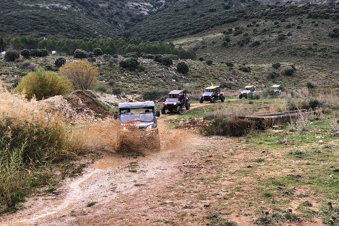TopBuggy Buggy Safari Ronda Gorge Trip - Winery Pass-By Moments: What to Notice Down Below