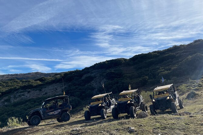 TopBuggy Buggy Safari Ronda Gorge Trip - El Tajo de Ronda: The Coffee Reset at the Gorge Edge