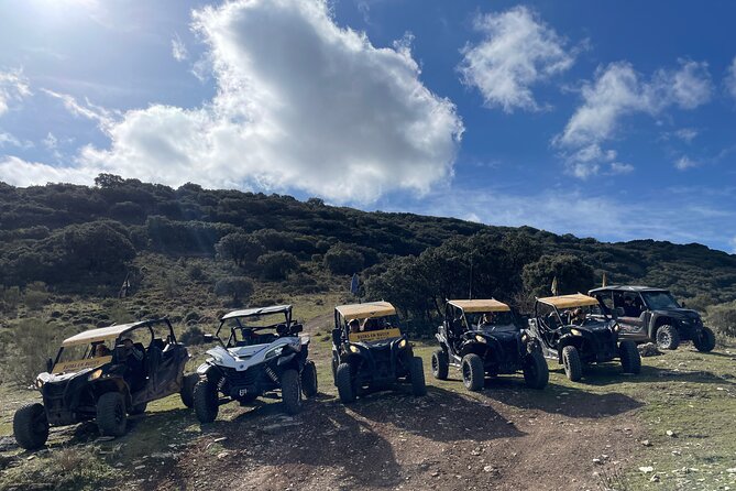 TopBuggy Buggy Safari Ronda Gorge Trip - Puerta de Almocabar: Fortified-Wall Driving and a Big View Moment