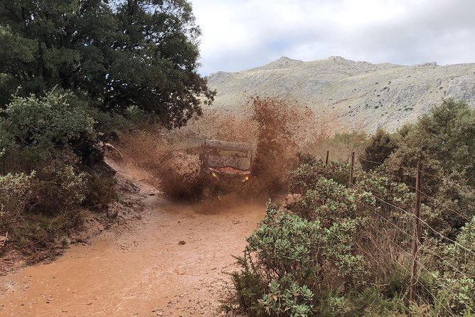 TopBuggy Buggy Safari Ronda Gorge Trip - Timing and Meeting Point: Don’t Cut It Close